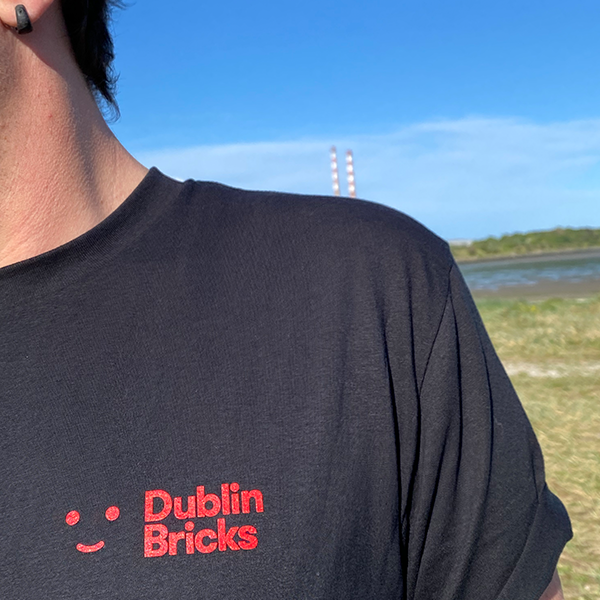 Dublin Heads - Tee